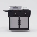 تصویر باربیکیو تادناشاپ