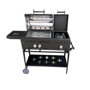 خرید باربیکیو ذغالی TNA