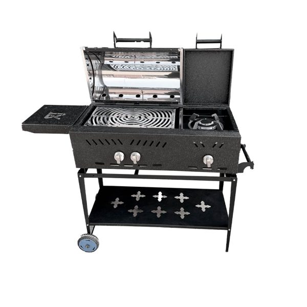 خرید باربیکیو ذغالی TNA